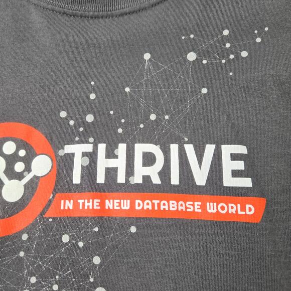 Quest Thrive In the New Database World T-shirt Graphic Gray size XL ISSUES - Picture 7 of 13